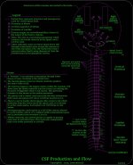 Cerebrospinal fluid flow