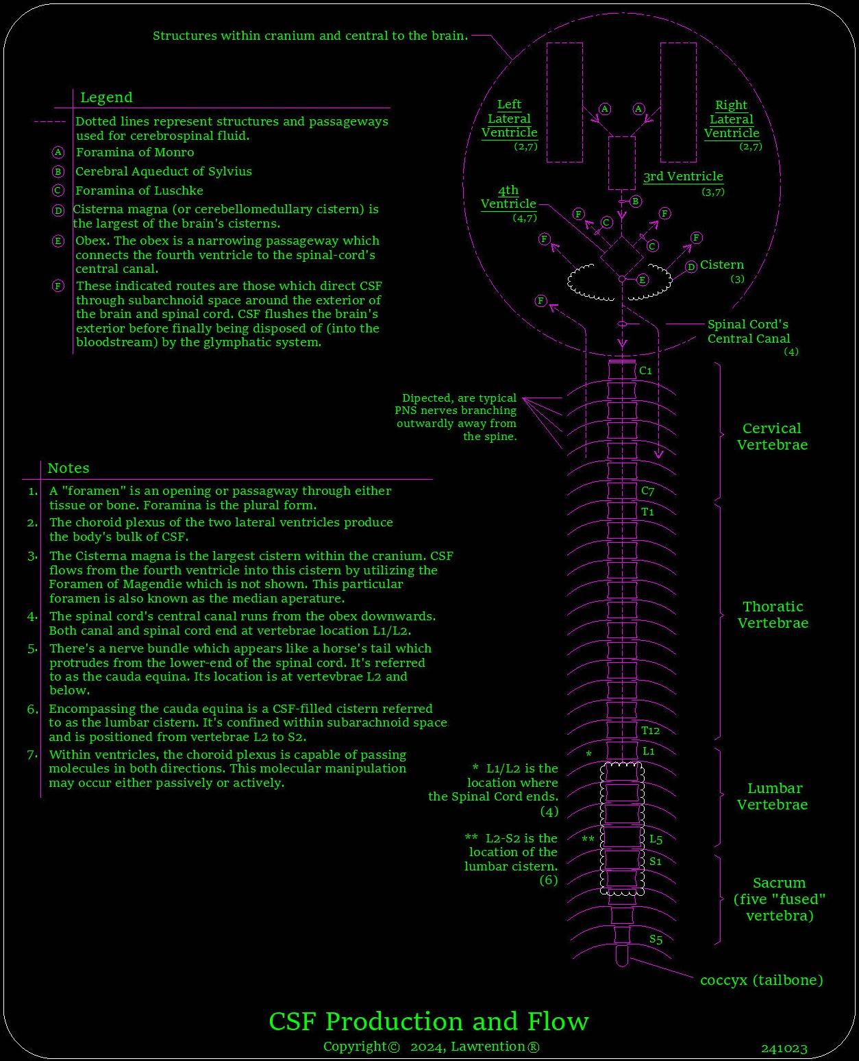 Cerebrospinal fluid flow