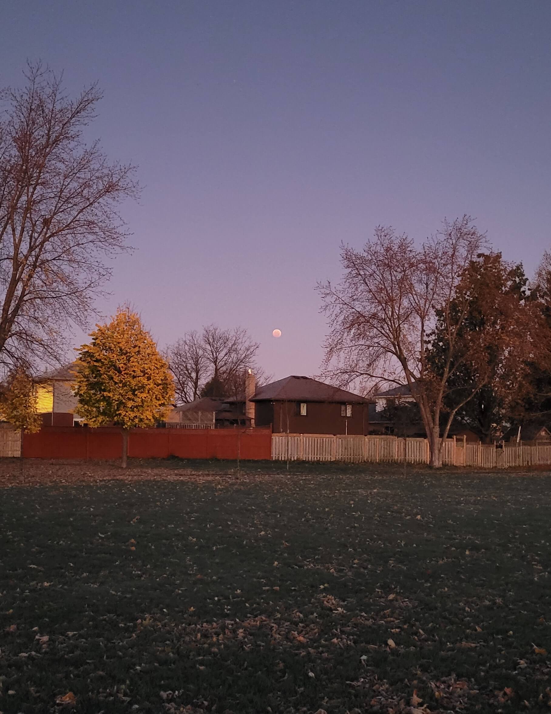 blood moon from park